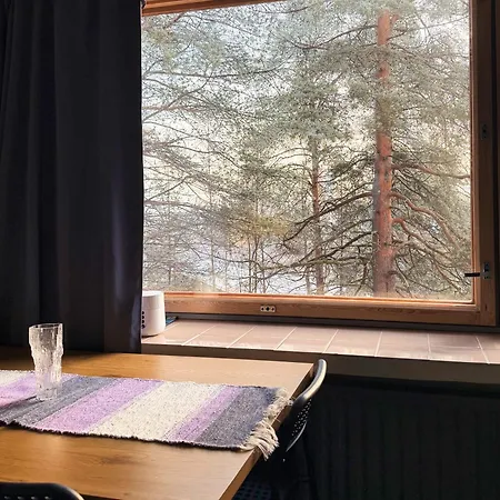Kotikare - Koskikatu Rovaniemi